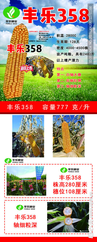 玉米