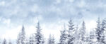 冬季下雪场景         