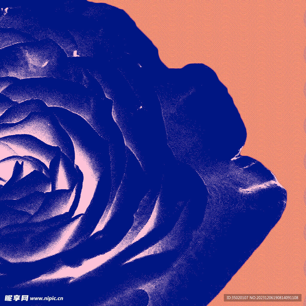 复古玫瑰花版画材质方形卡片海报