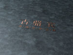 LOGO皮革材质展示