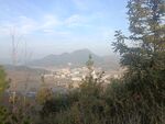 山野