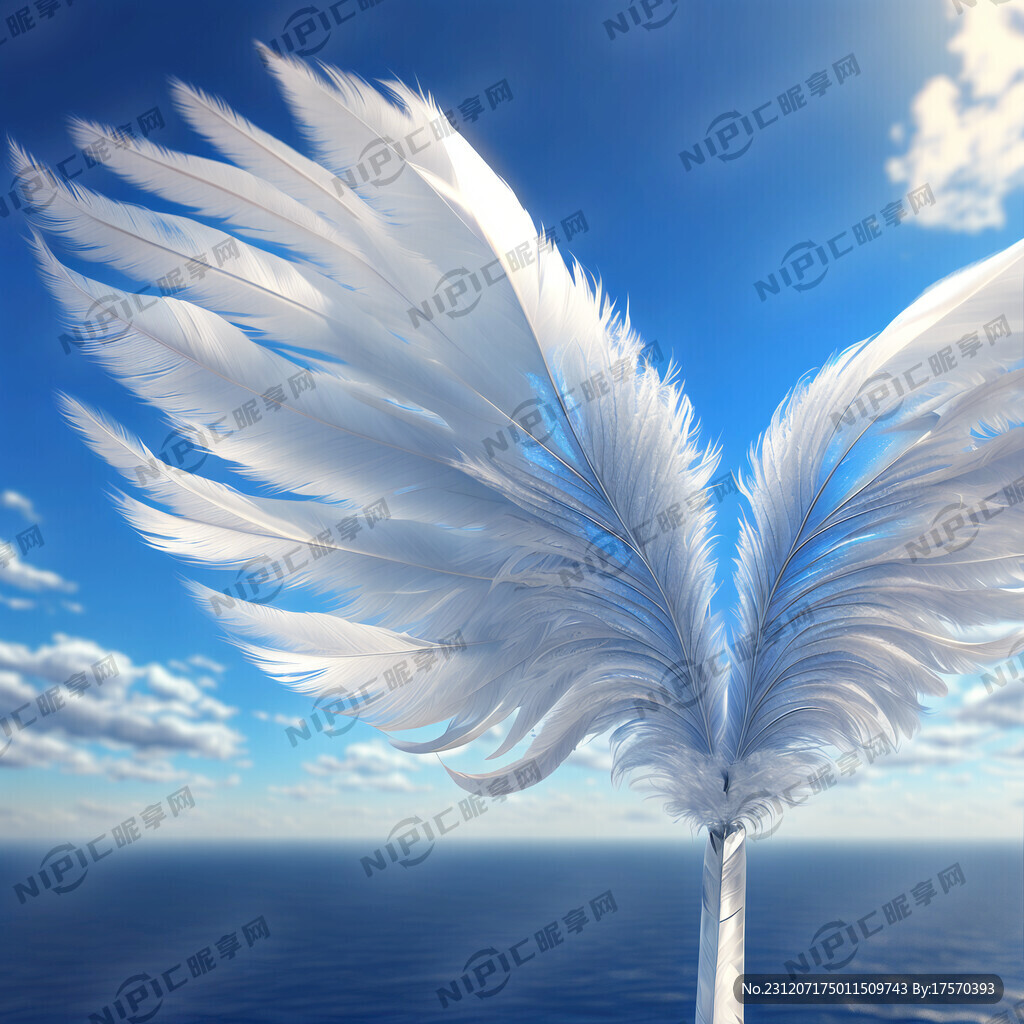 翅膀 羽毛 蓝天 白云 晶莹