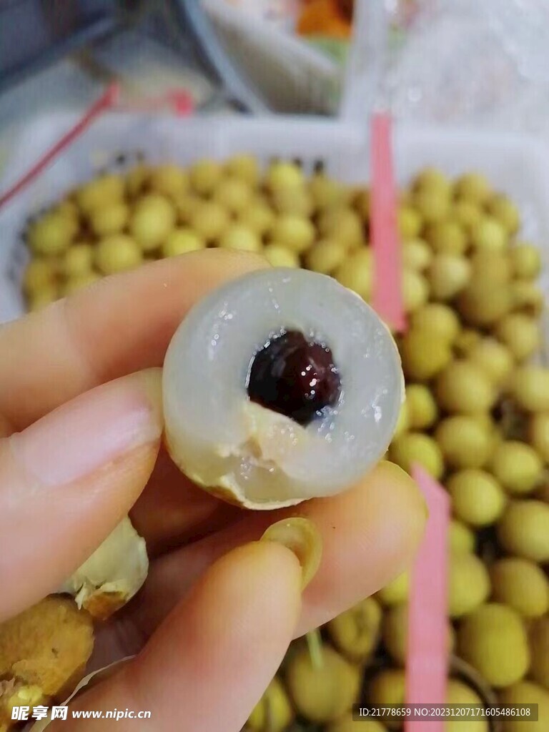 龙眼