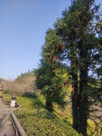 公园