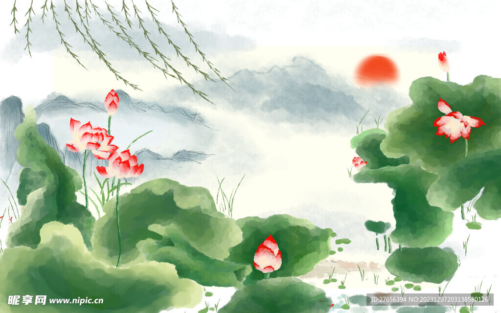 荷花