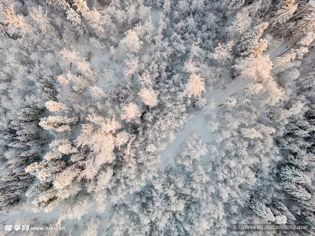 风景
