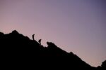 山