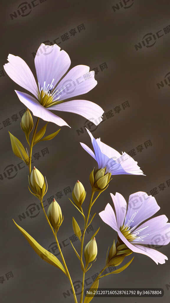 亚麻籽花