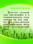四季饮食与健康