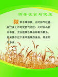 四季饮食与健康