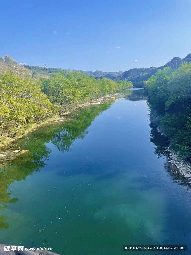 森林湖水