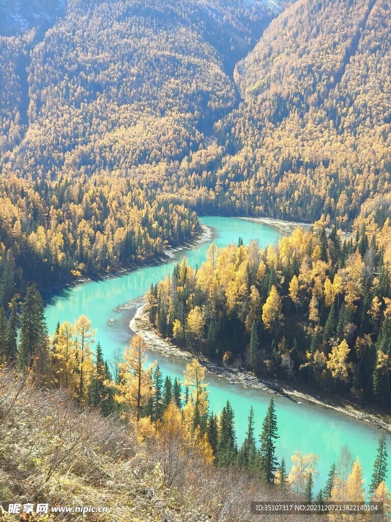 喀纳斯秋景