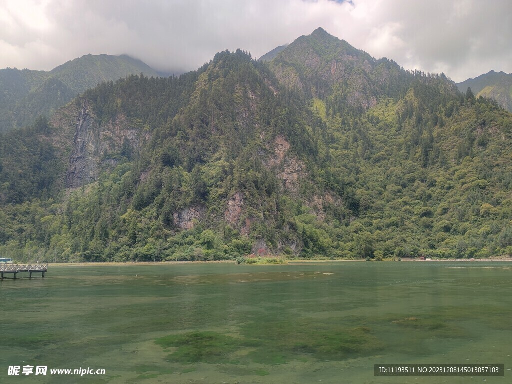 青山