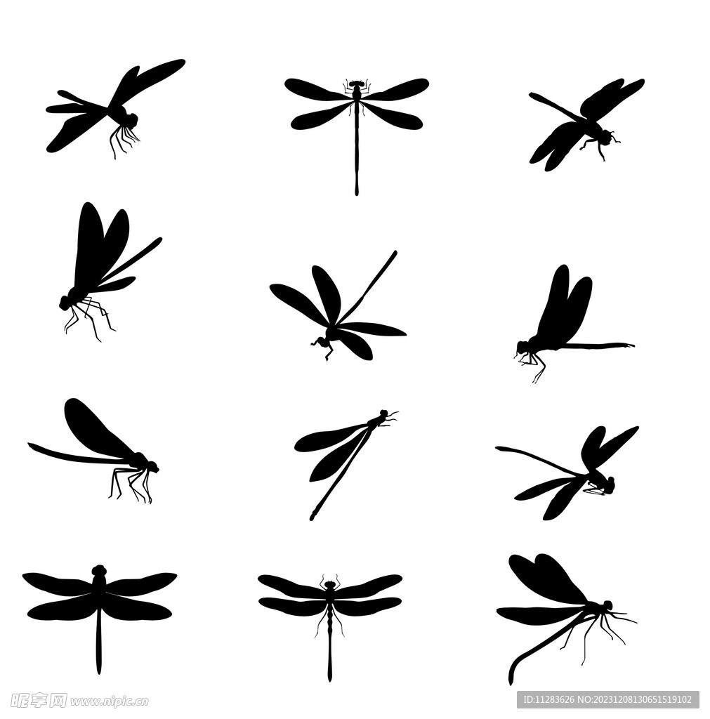 蜻蜓剪影素材