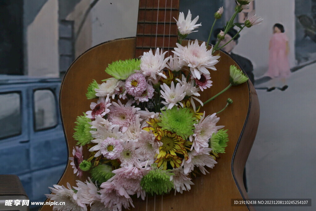菊花 