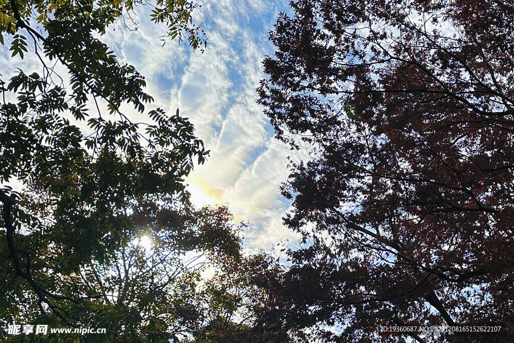 天空