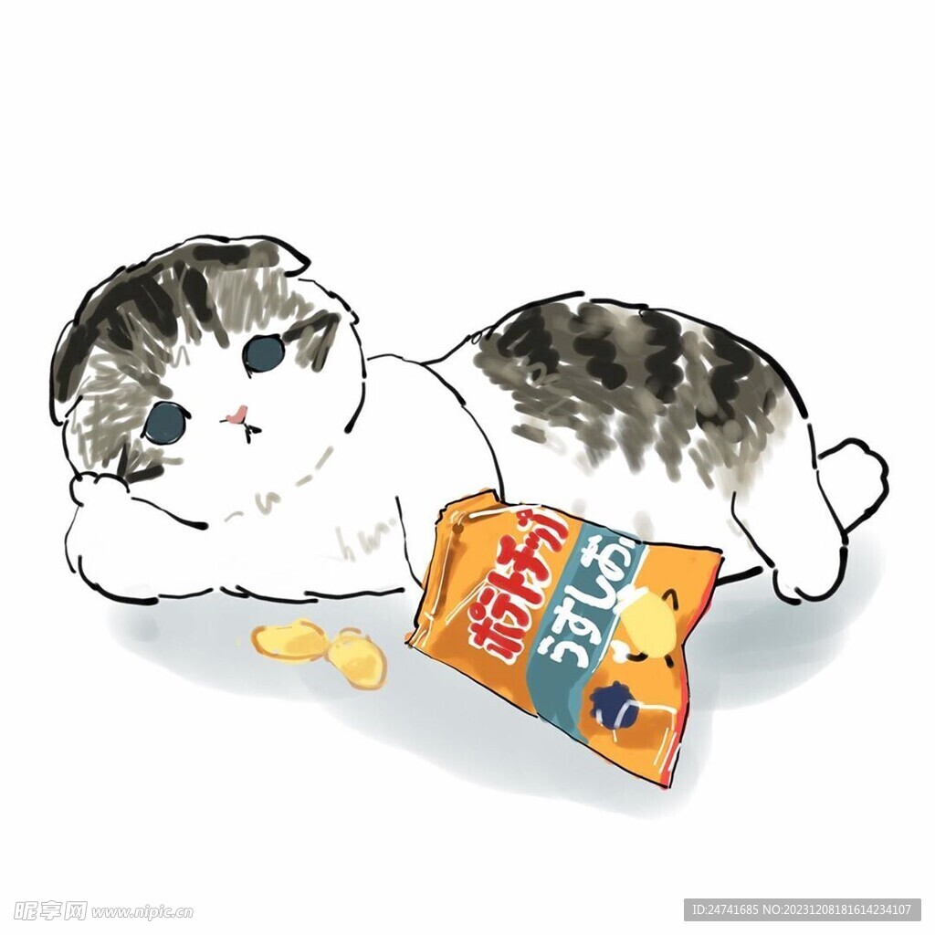 猫