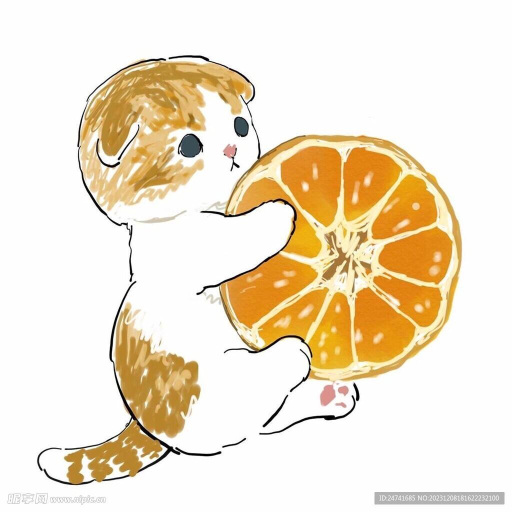 猫