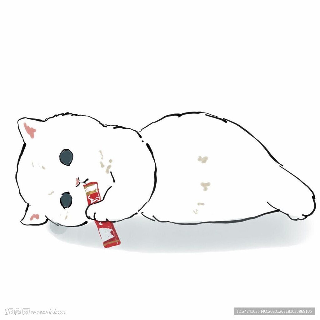 猫