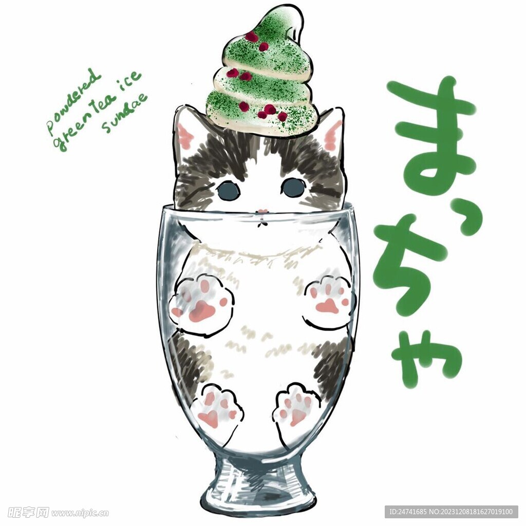 猫