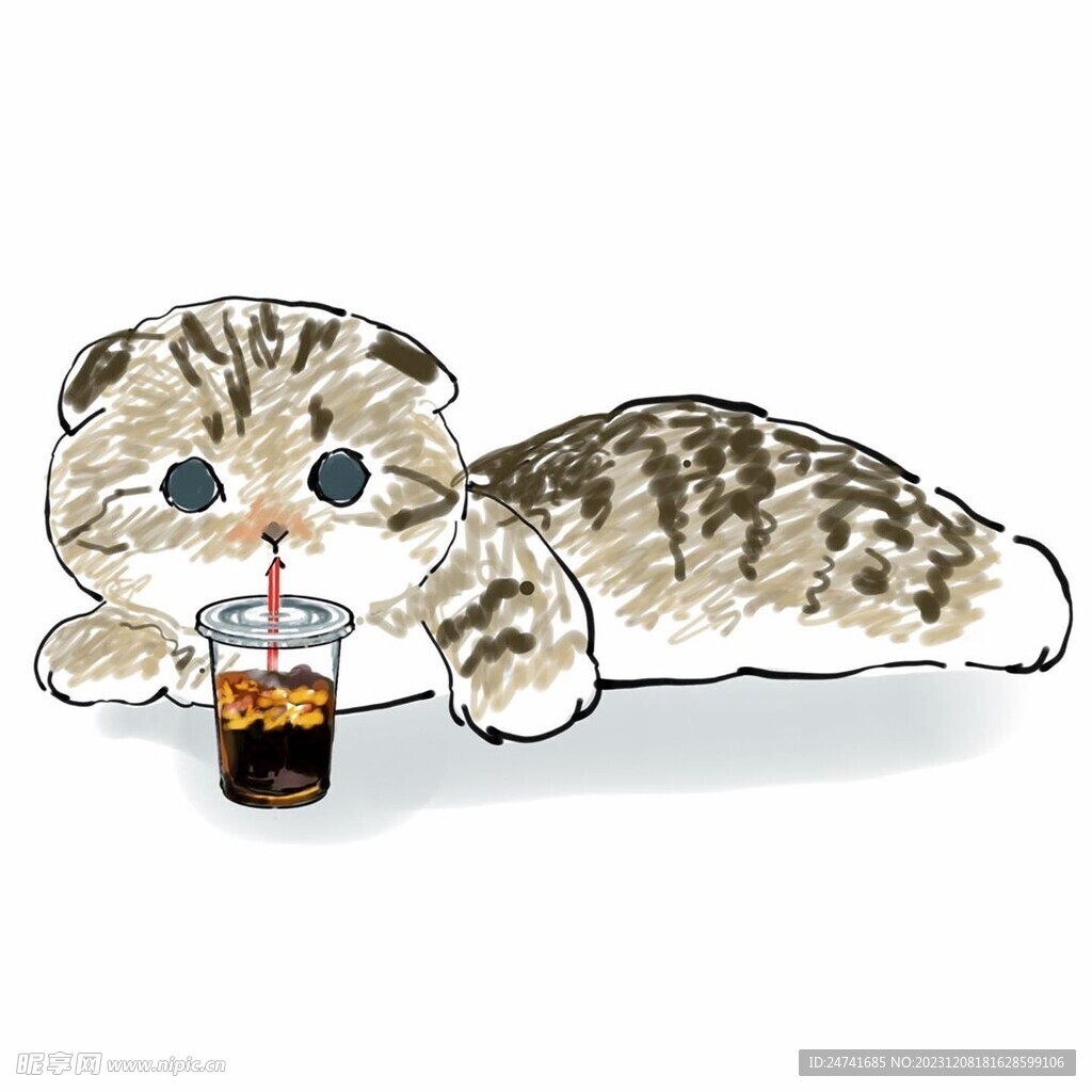 猫