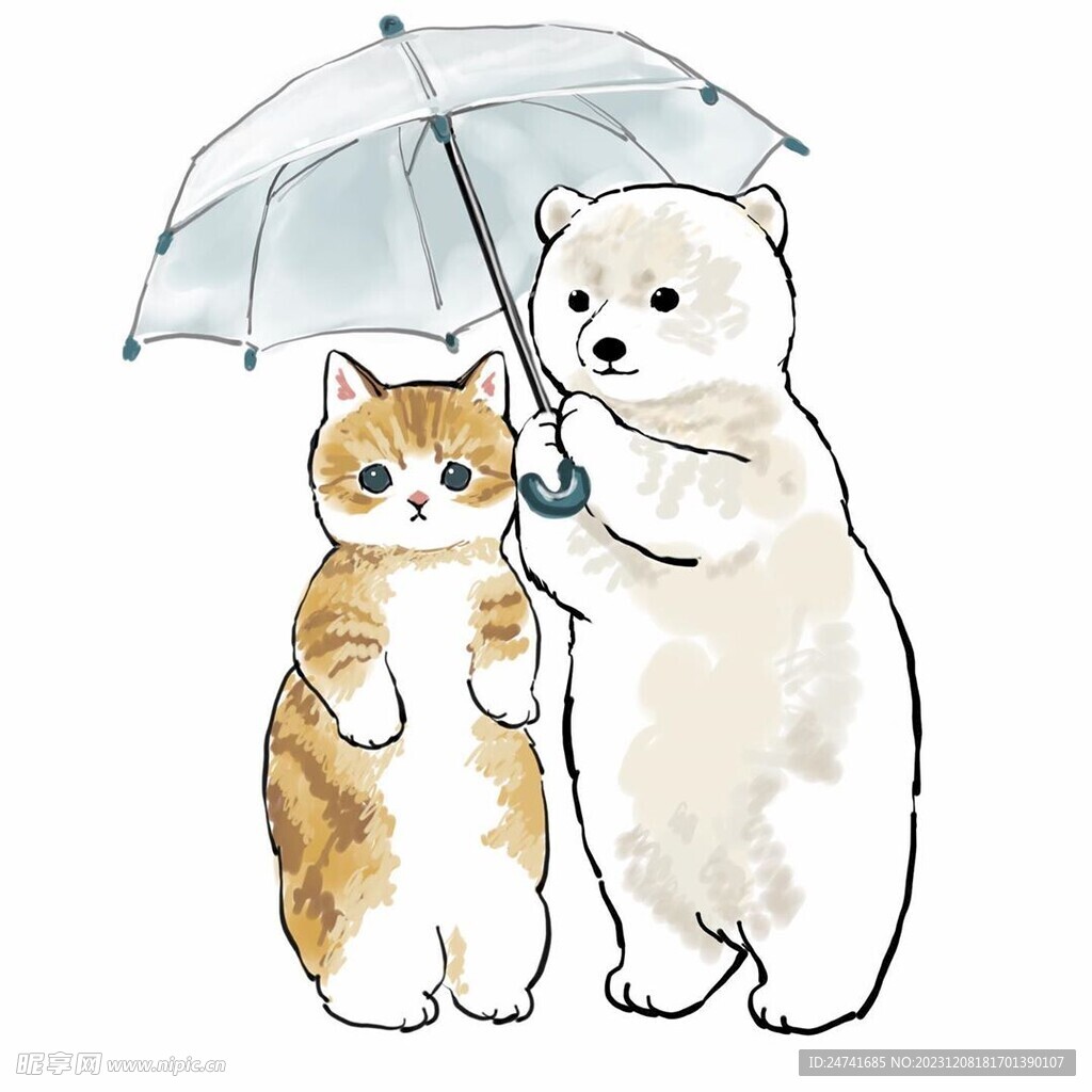 猫