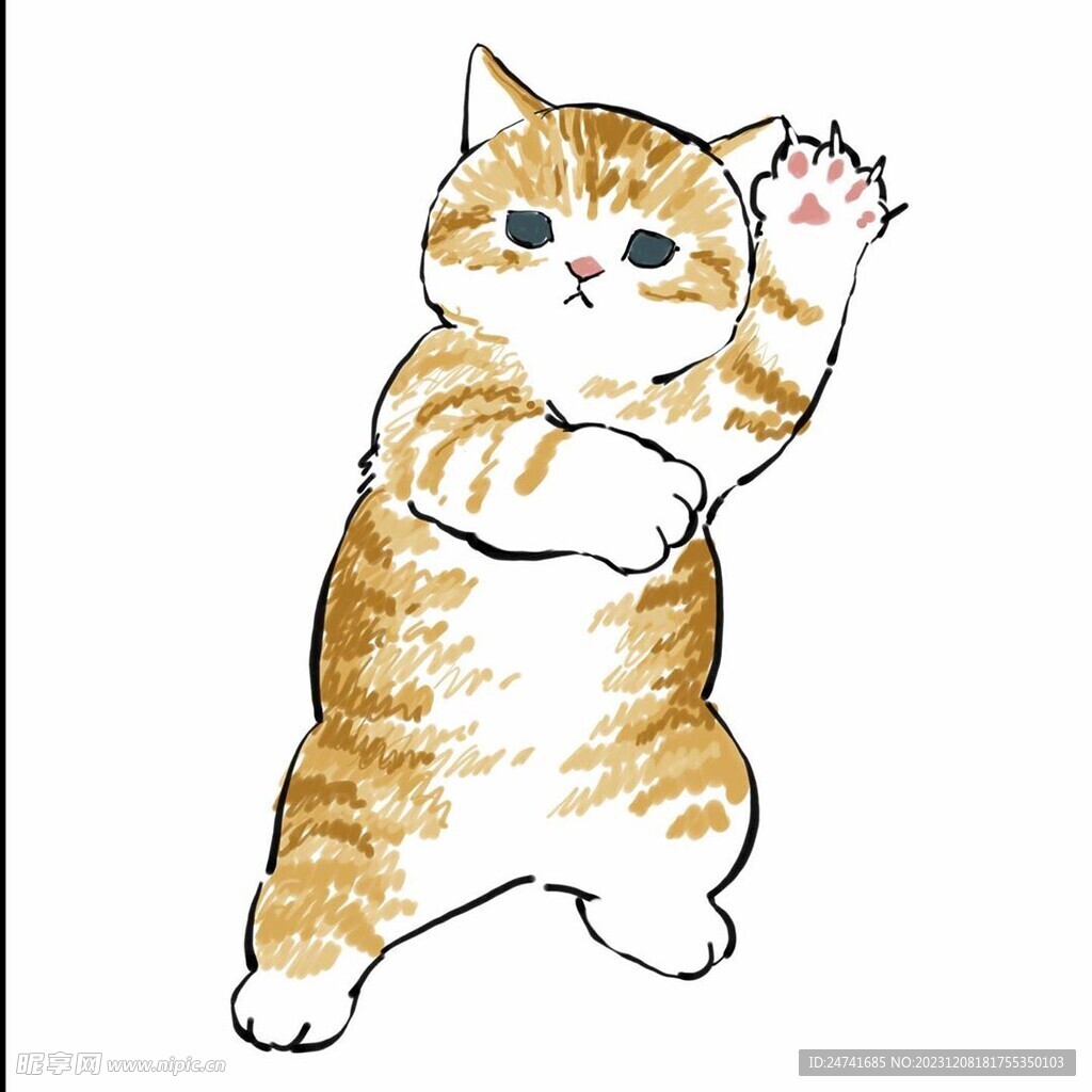 猫
