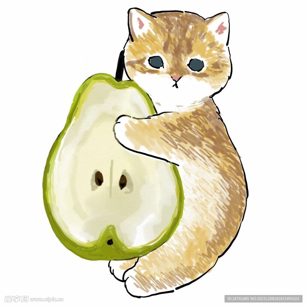 猫