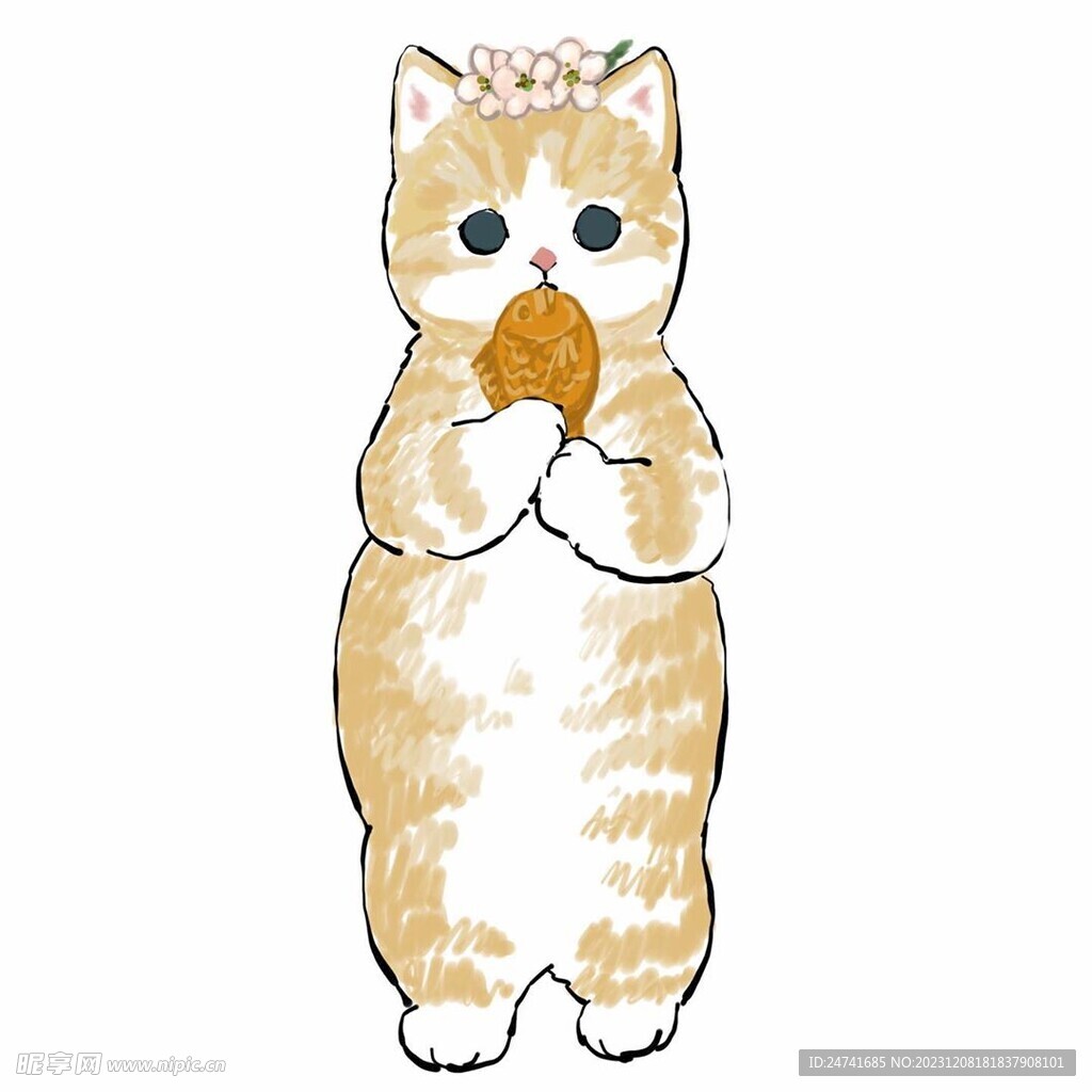 猫