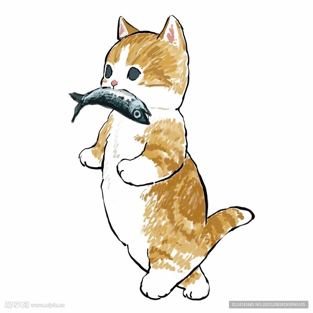 猫