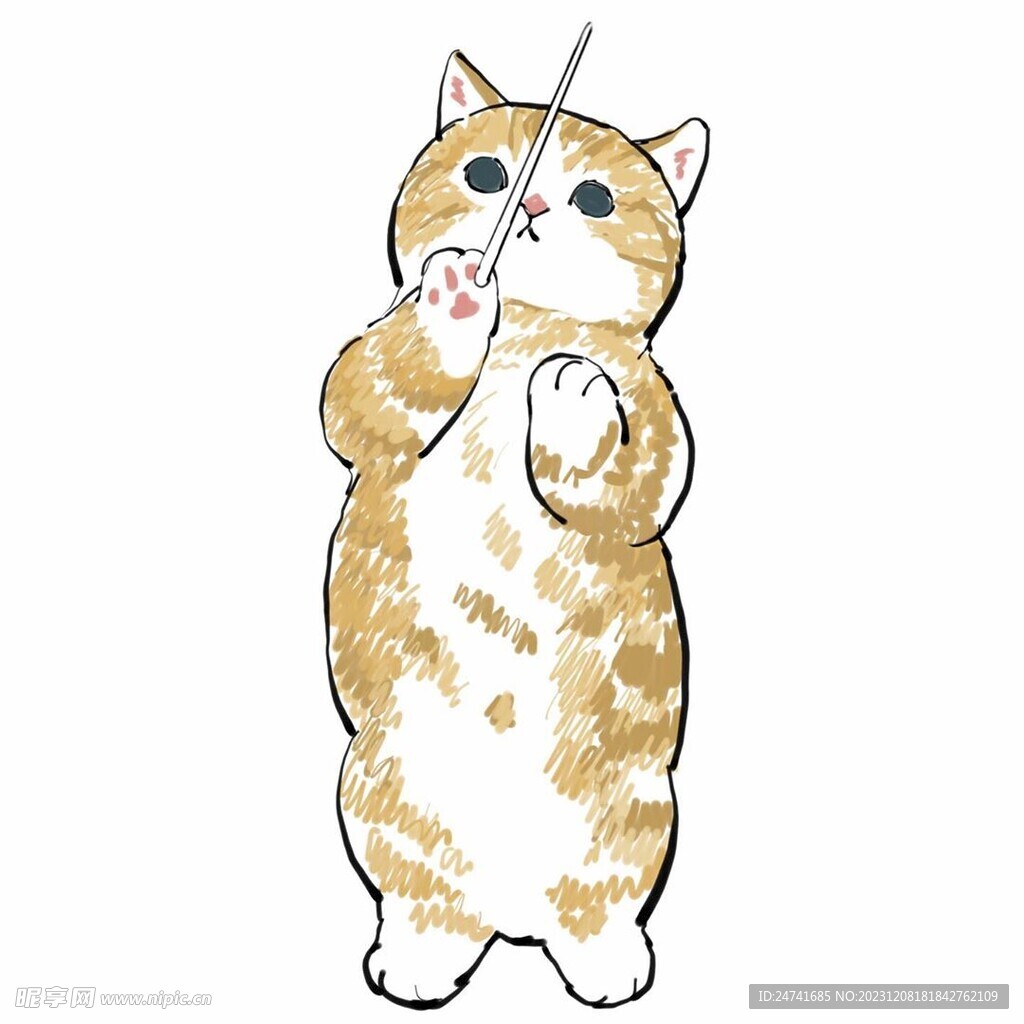 猫