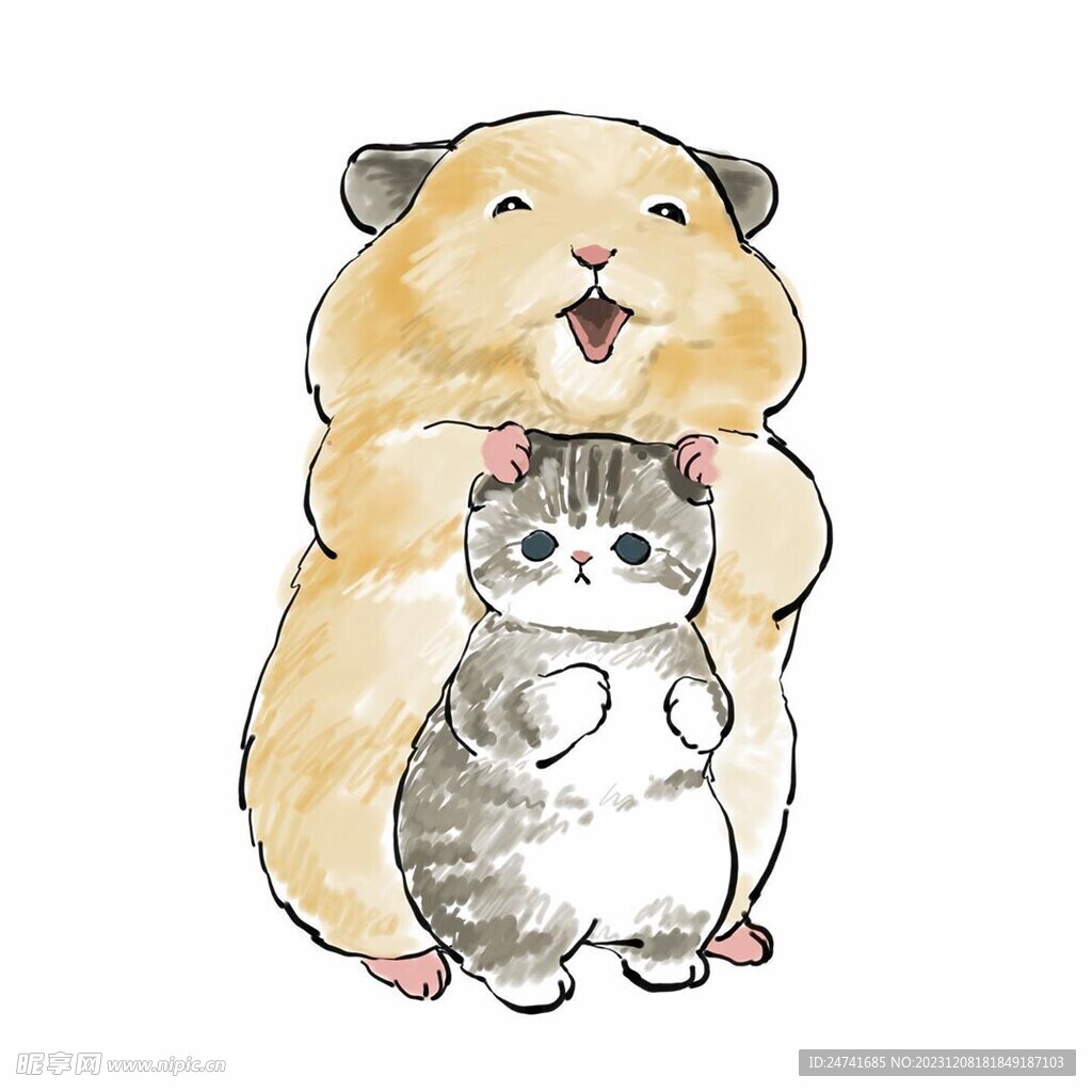 猫