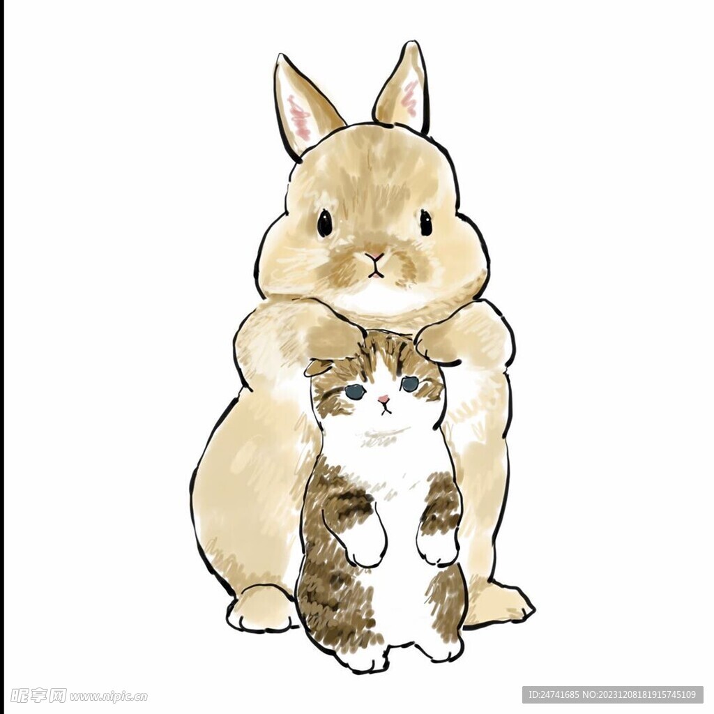 猫