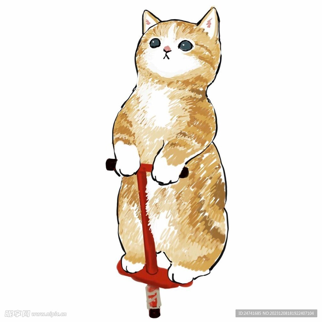 猫