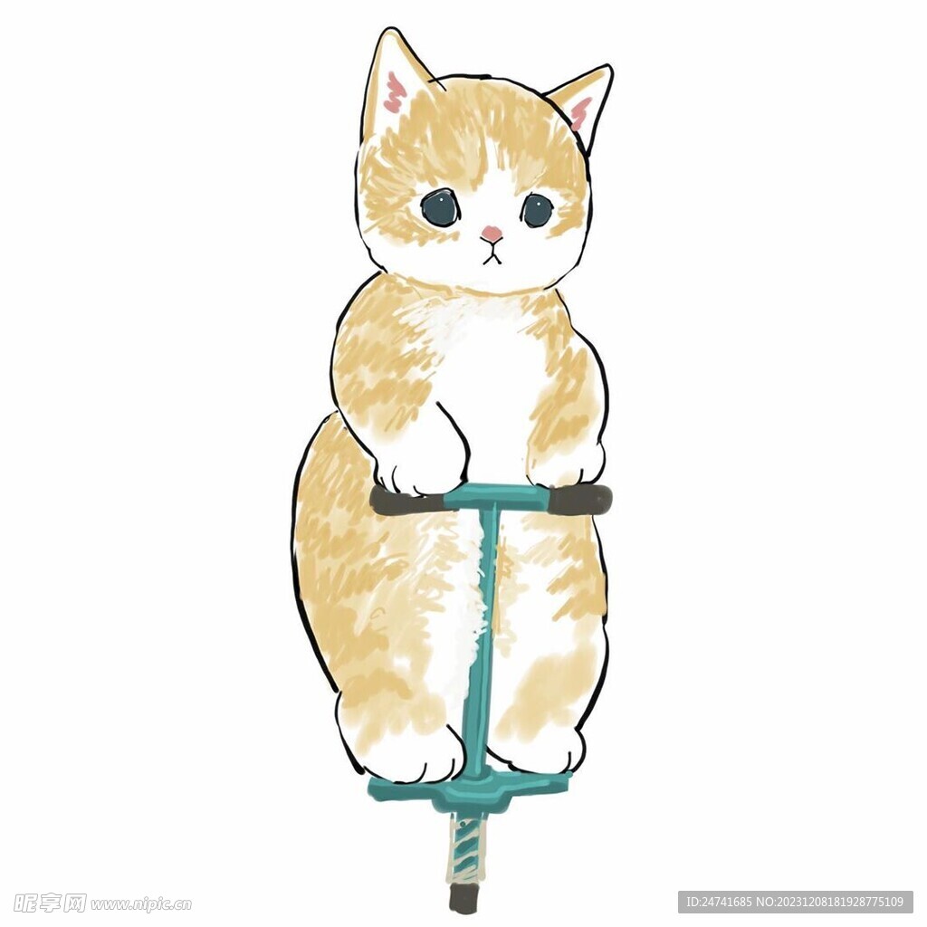 猫