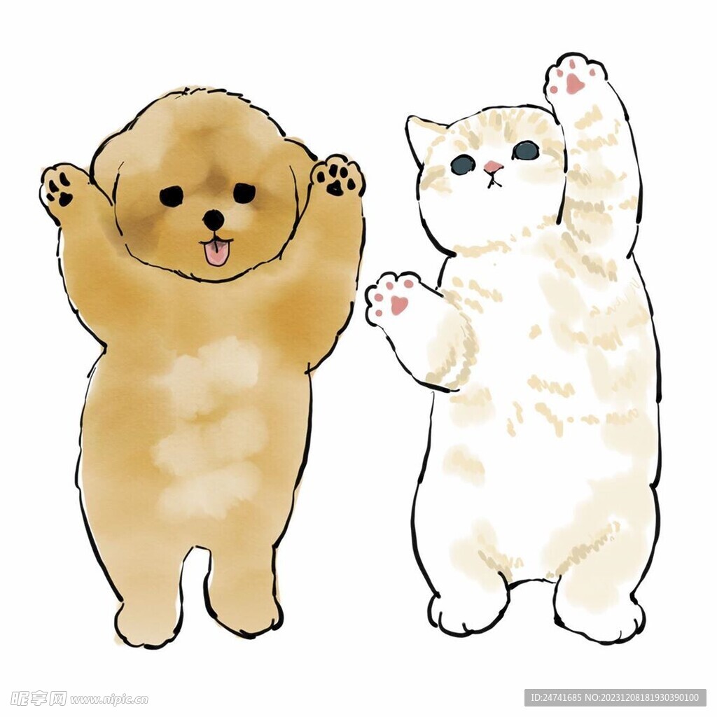 猫