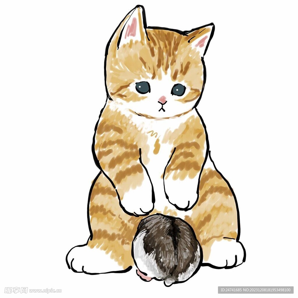 猫