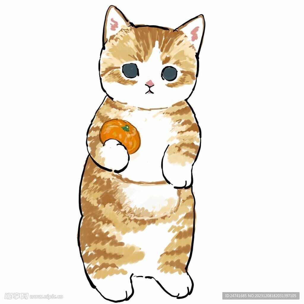 猫