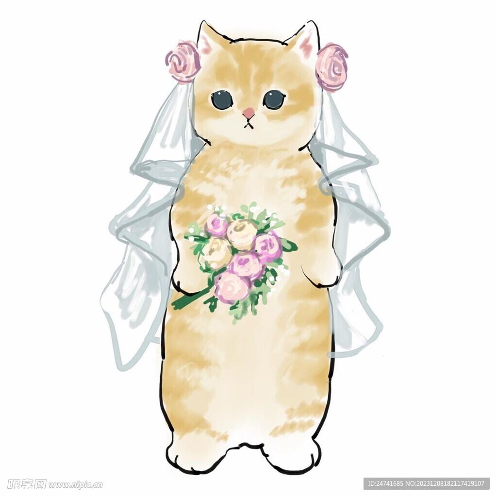 猫