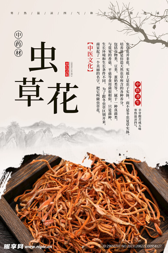 中医草药海报