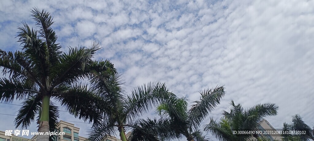 天空 