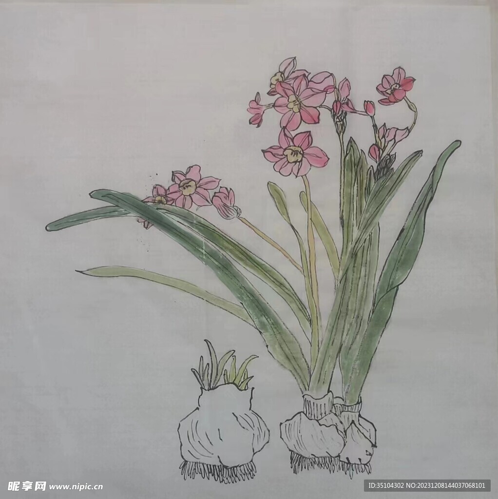 水仙花