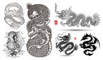 龙