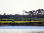 奥克兰海边风景