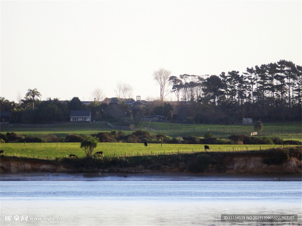 奥克兰海边风景