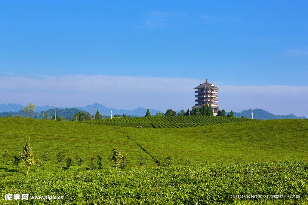 中国茶海景区