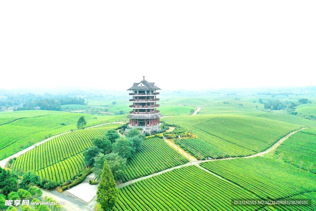 中国茶海景区