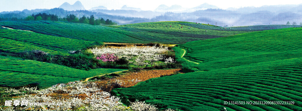 中国茶海景区