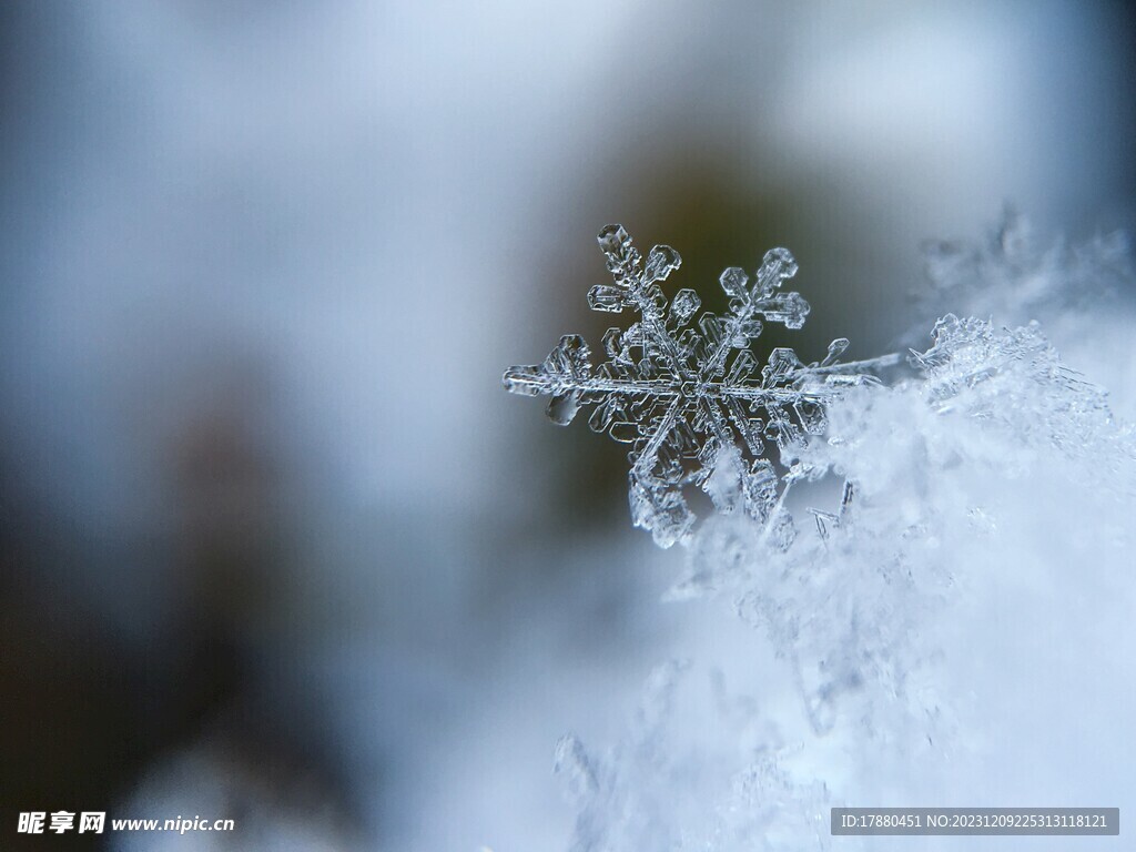 雪花