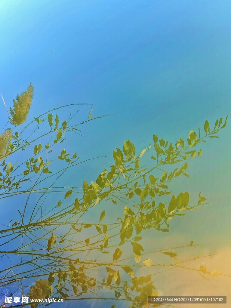 倒影